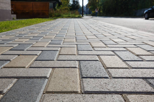 Best Professional Driveway Pavers  in Monroe, MI